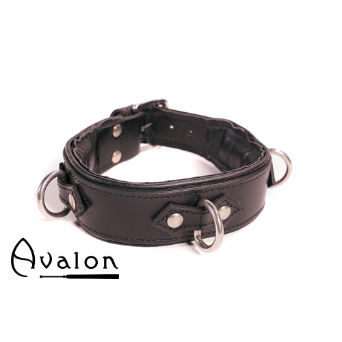 Avalon - VICTORY - Enkelt Collar med D-ringer og polstring - Sort og Rød Avalon - VICTORY - Enkelt Collar med D-ringer og polstring - Sort og Rød