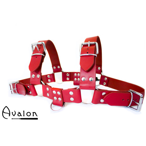 Avalon - BLAZON - Harness Rød Avalon - BLAZON - Harness Rød