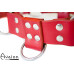 Avalon - BLAZON - Harness Rød Avalon - BLAZON - Harness Rød