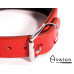 Avalon - DECLARE - Klassisk Collar med O-ring Rødt og Svart slett Avalon - DECLARE - Klassisk Collar med O-ring Rødt og Svart slett