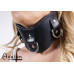 Avalon - CONQUER - Collar med god polstring, Svart