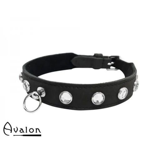 Avalon - DEVOTION - Collar med Blanke Stener og O-ring Avalon - DEVOTION - Collar med Blanke Stener og O-ring