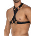 H4rness C4M - Justerbar Harness