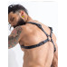 H4rness C4M - Party Harness - Sort